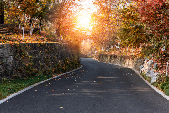 秋天中国南京栖霞山的枫树道路
