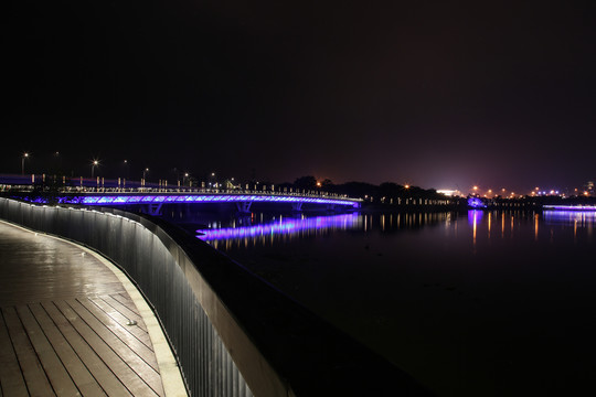 深圳人才公园夜景