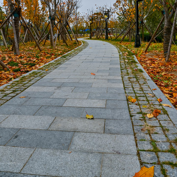 城市花园中的弯曲小路