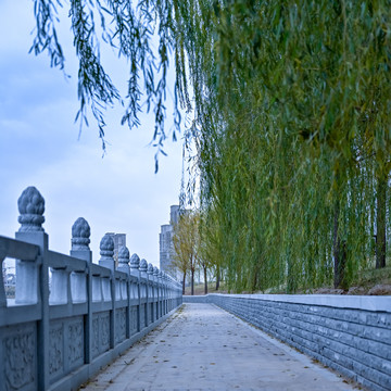湖边垂柳青石栏杆与小路