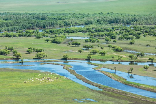 湿地羊群河流