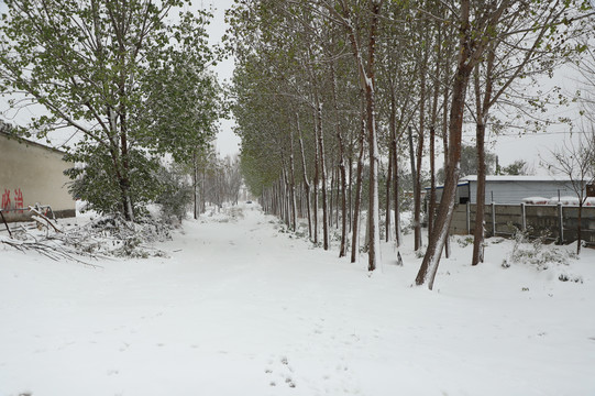 乡村大雪