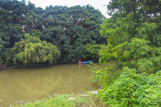 杭州西溪湿地