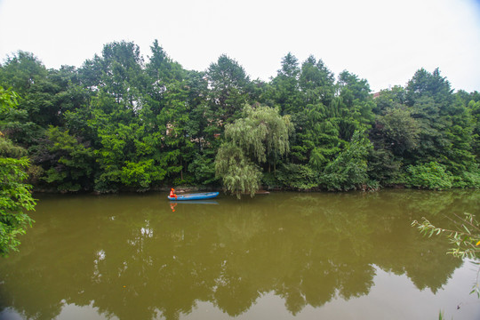 杭州西溪湿地