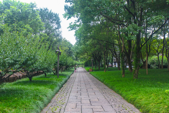 石板路