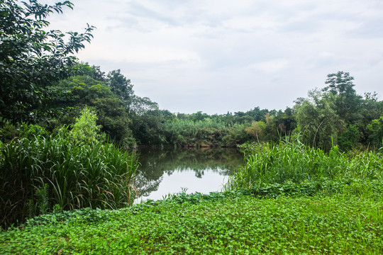 杭州西溪湿地