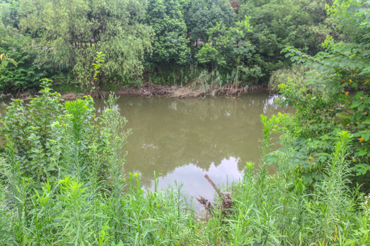 杭州西溪湿地