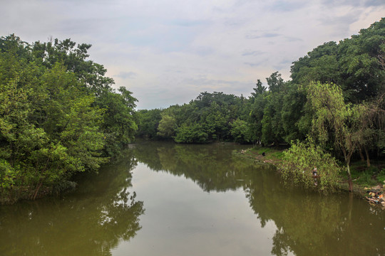 杭州西溪湿地