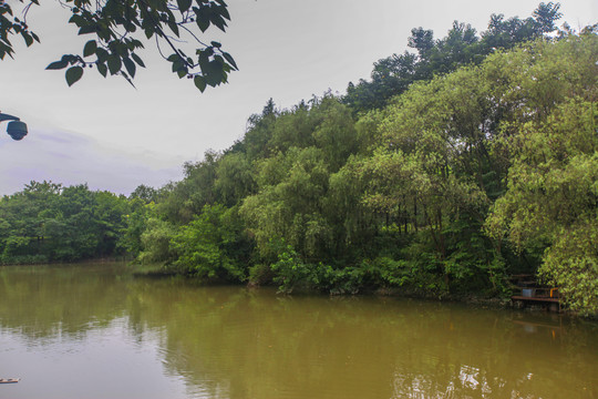 杭州西溪湿地