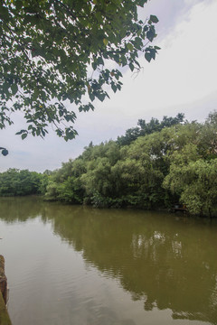 杭州西溪湿地