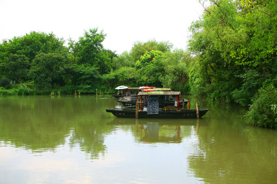 杭州西溪湿地
