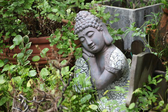 雕塑杭州西溪湿地