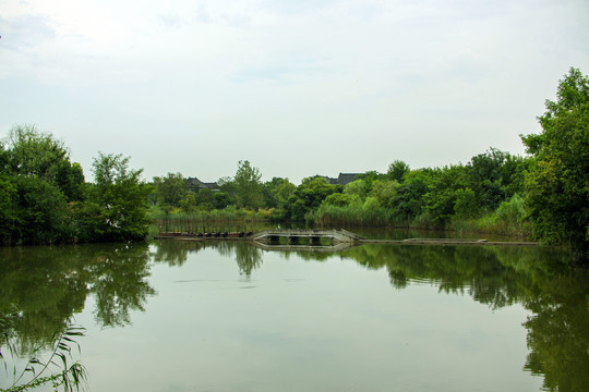 杭州西溪湿地