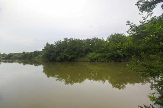 杭州西溪湿地