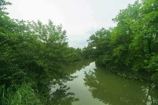 杭州西溪湿地