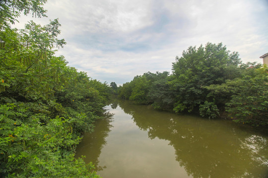 杭州西溪湿地河道