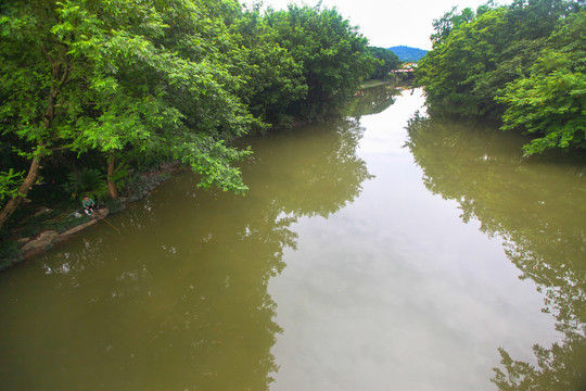 杭州西溪湿地