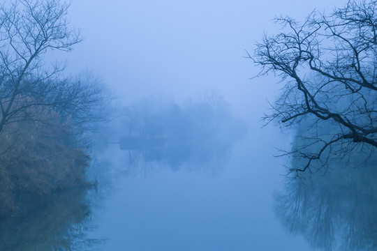 烟雨西溪湿地