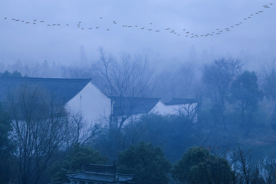 烟雨西溪湿地