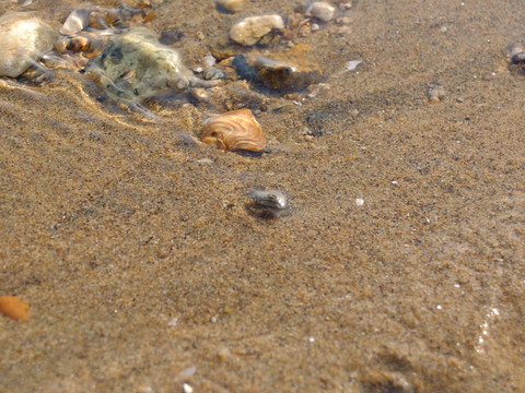 沙滩海边