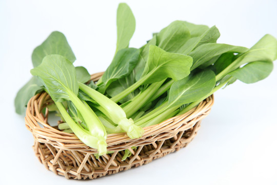 小油菜