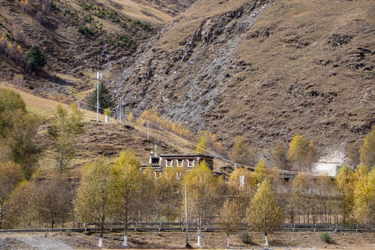 秋天川西新都桥草原牧场