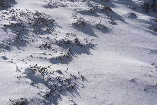 冬季雪地