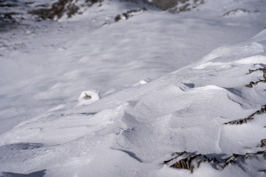 冬季雪地