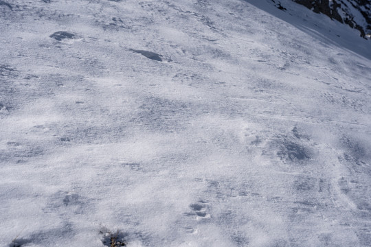 冬季雪地