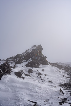 冬季雪地