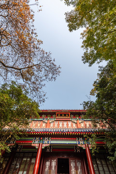 秋天中国南京灵谷寺的松风阁