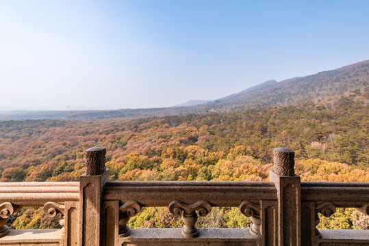秋天俯瞰中国南京灵谷寺的园林