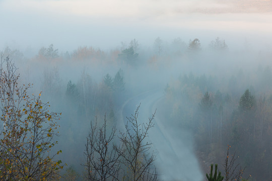 秋季森林云雾公路