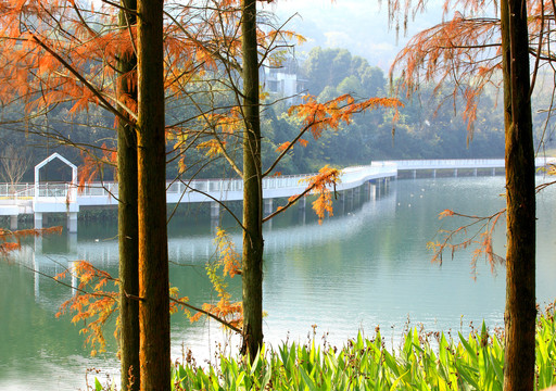 重庆金山公园湖景