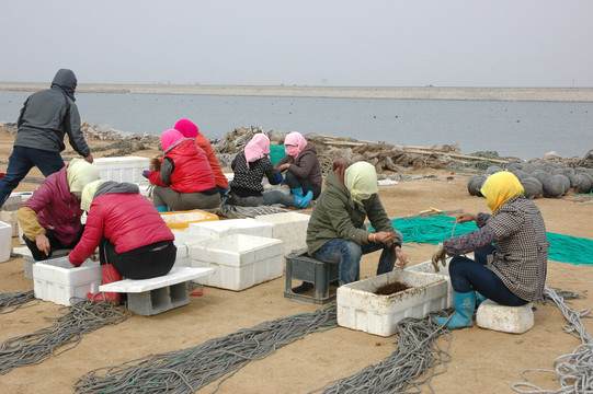 海参养殖围圈围坝