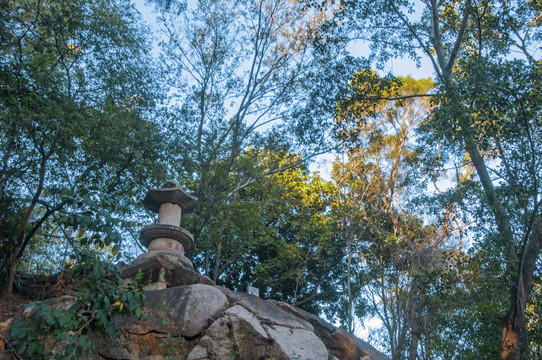 九日山无等岩风景