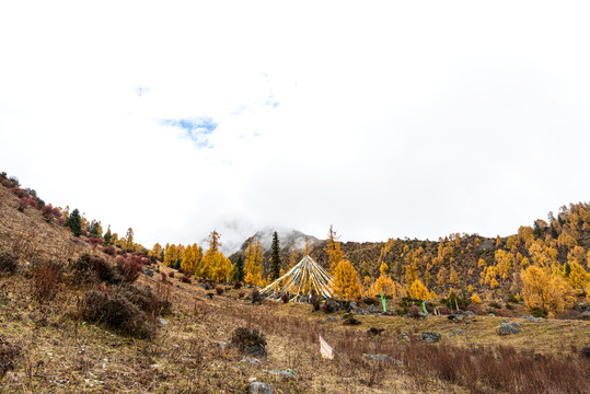 四姑娘山风光