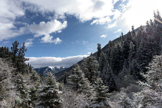 四姑娘山风光