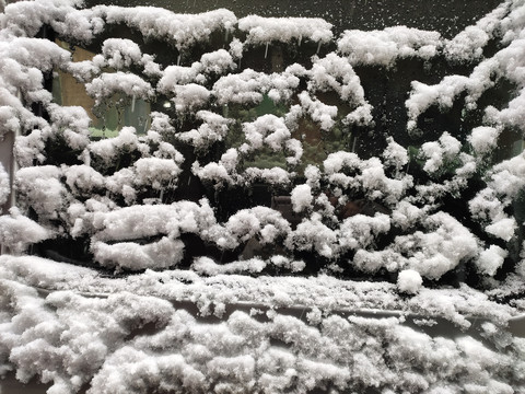 车玻璃上的白雪