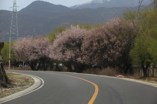 乡村民居