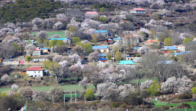 山村