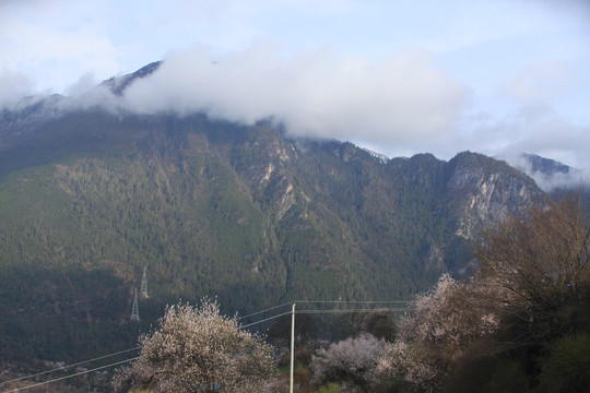 雪山