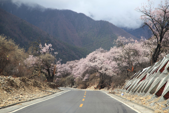 山间公路