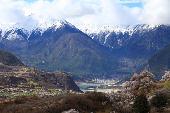 山间春天