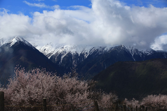 雪山