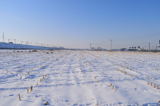 下雪了