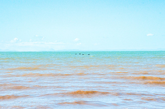 青海湖