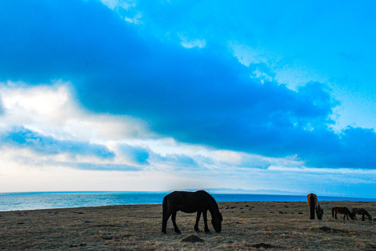 青海湖