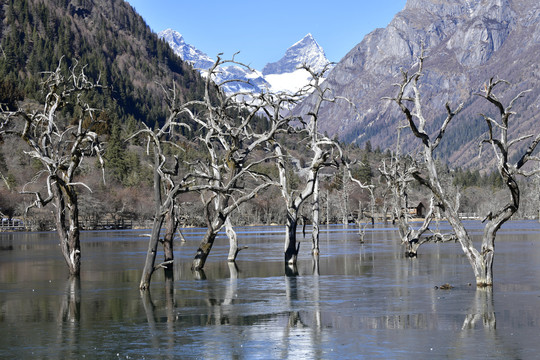 高山湖泊