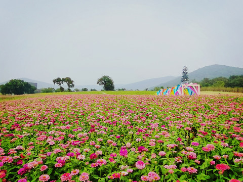 梵天花海